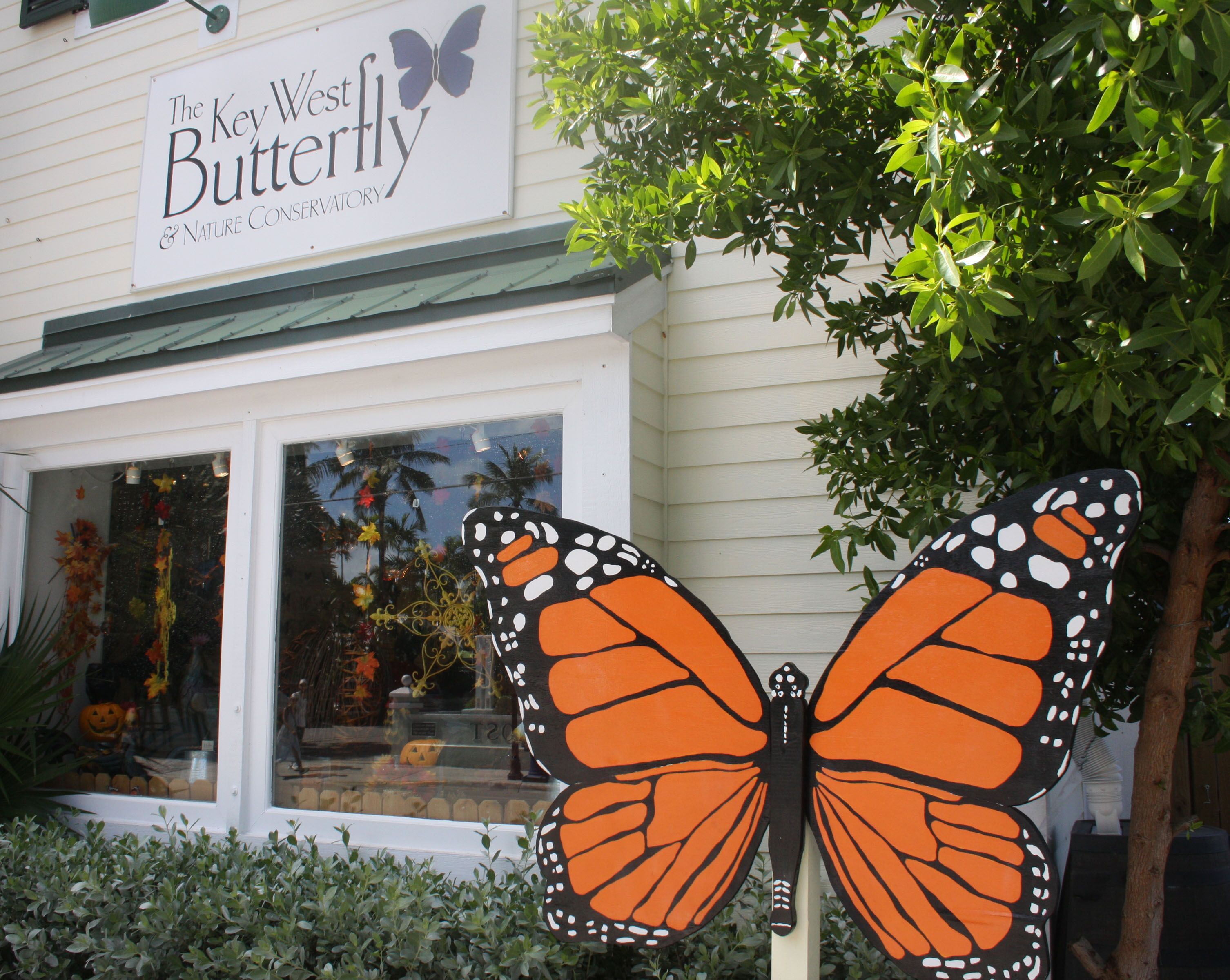 Picture of Butterfly Conservatory