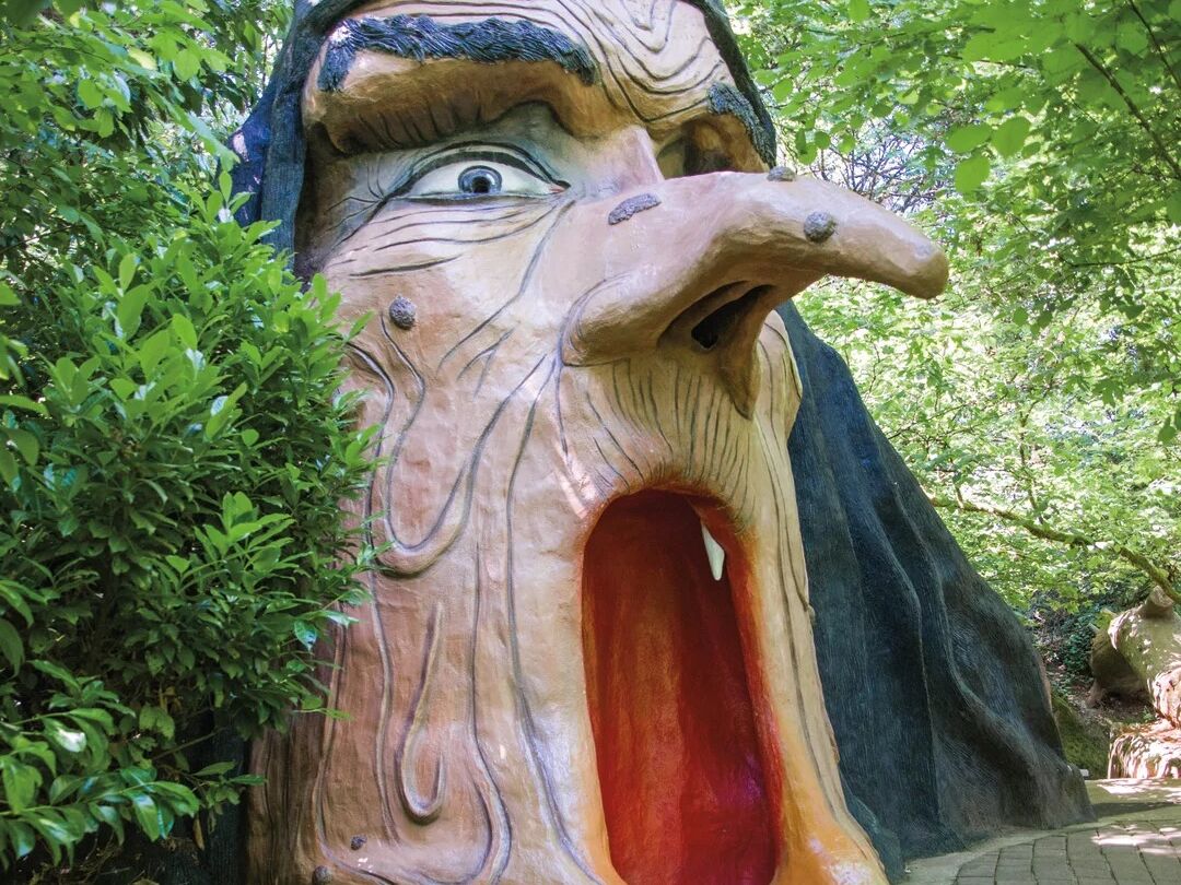 Picture of Enchanted Forest