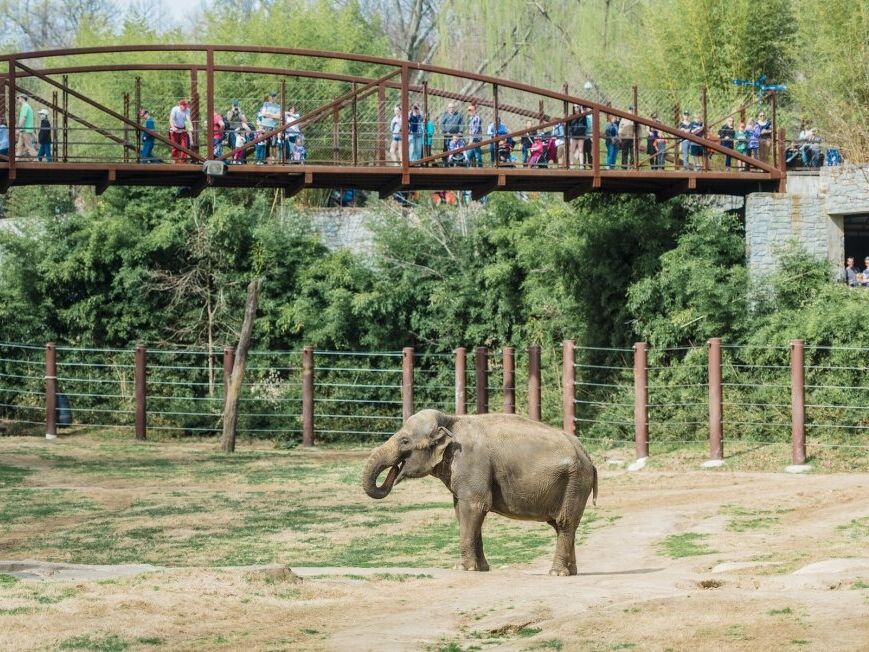 Picture of Smithsonian National Zoological Park