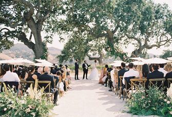 A couple say "I do" at their outdoor vineyard wedding