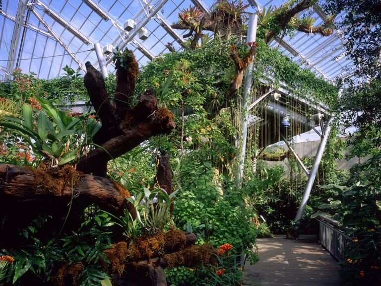 Picture of Cleveland Botanical Garden