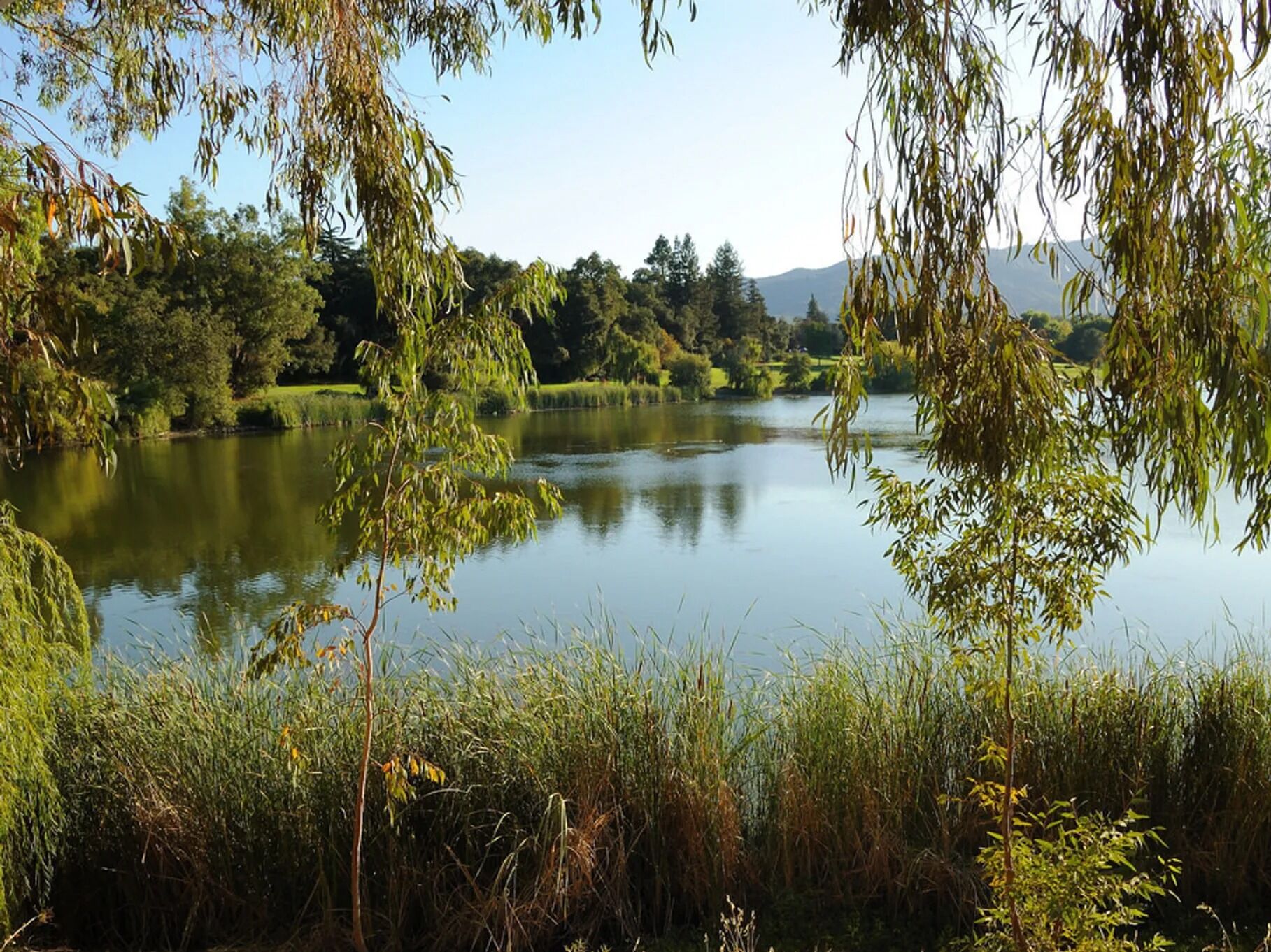 Picture of Vasona Lake County Park