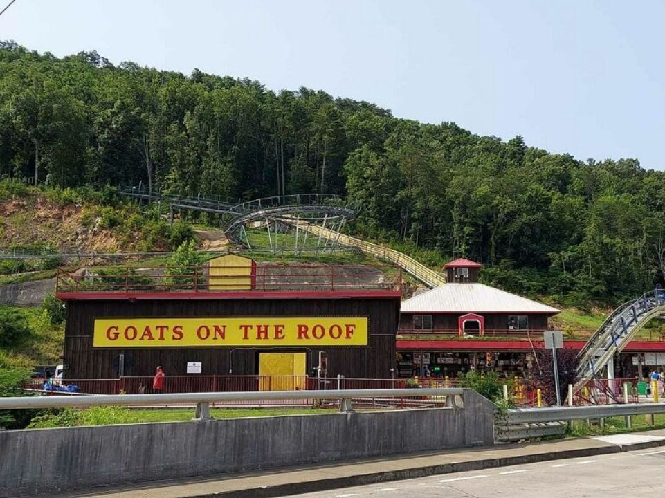 Picture of The Goat Coaster at Goats on the Roof