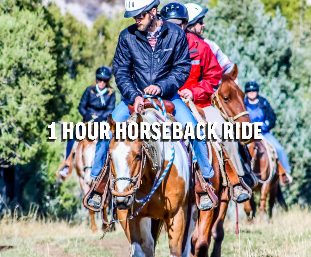 Picture of Horseback Riding 