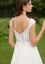 AW Bridal AW CATRINA WEDDING DRESS A-Line Wedding Dress - thumbnail - 3