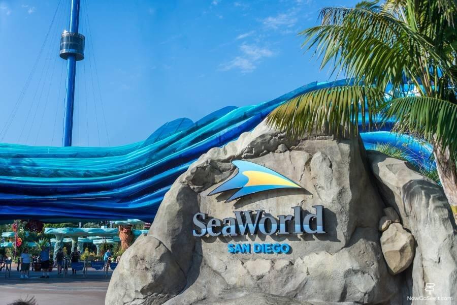 Picture of SeaWorld San Diego