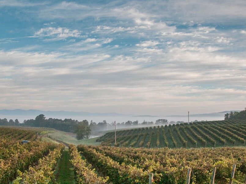 Picture of Barboursville Vineyards
