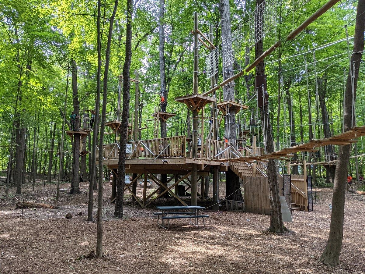 Picture of TreeRunner Rochester Adventure Park at Oakland University