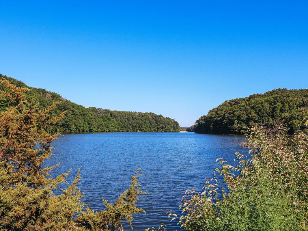 Picture of Griffy Woods Nature Preserve