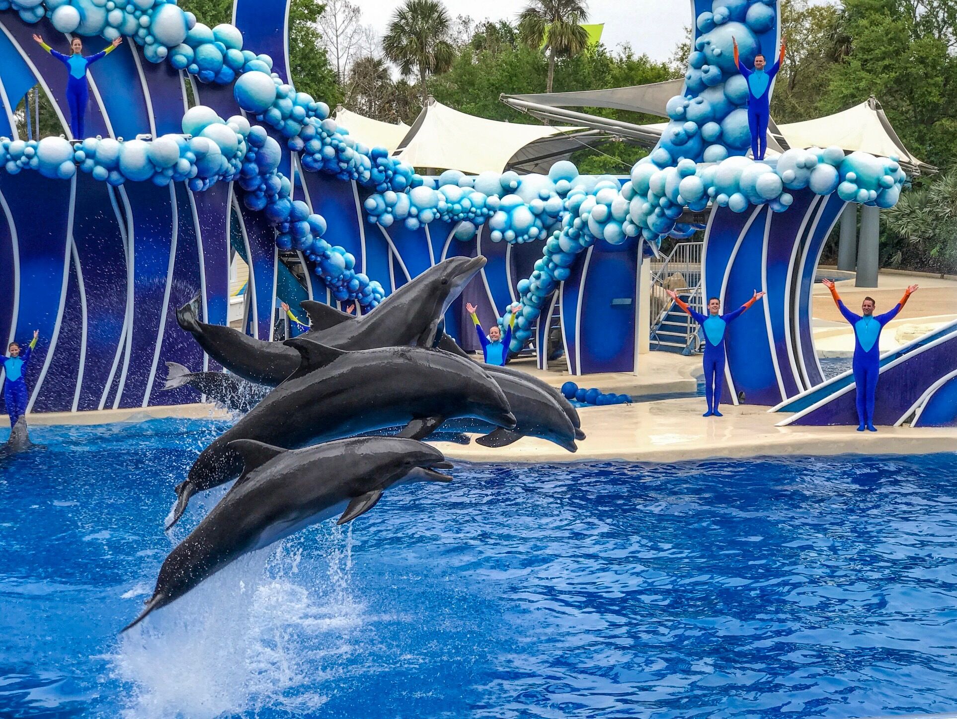 Picture of SeaWorld Orlando