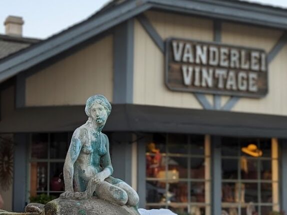 Picture of Vanderlei Vintage