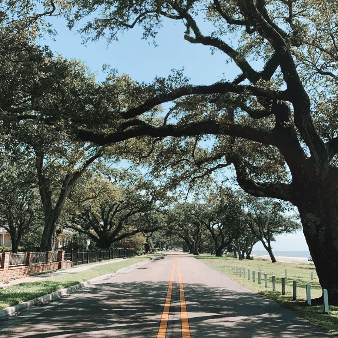 Picture of Walk Down Scenic Drive