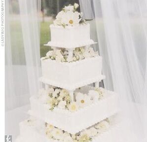 The Cake