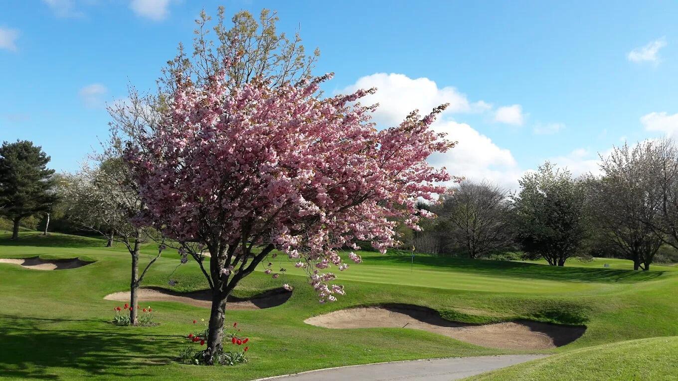 Picture of The Tytherington Club