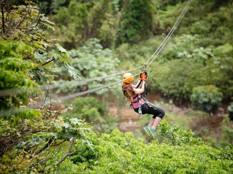 Picture of Toro Verde Adventure Park