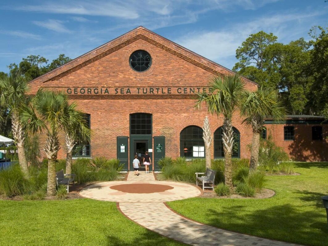 Picture of Georgia Sea Turtle Center