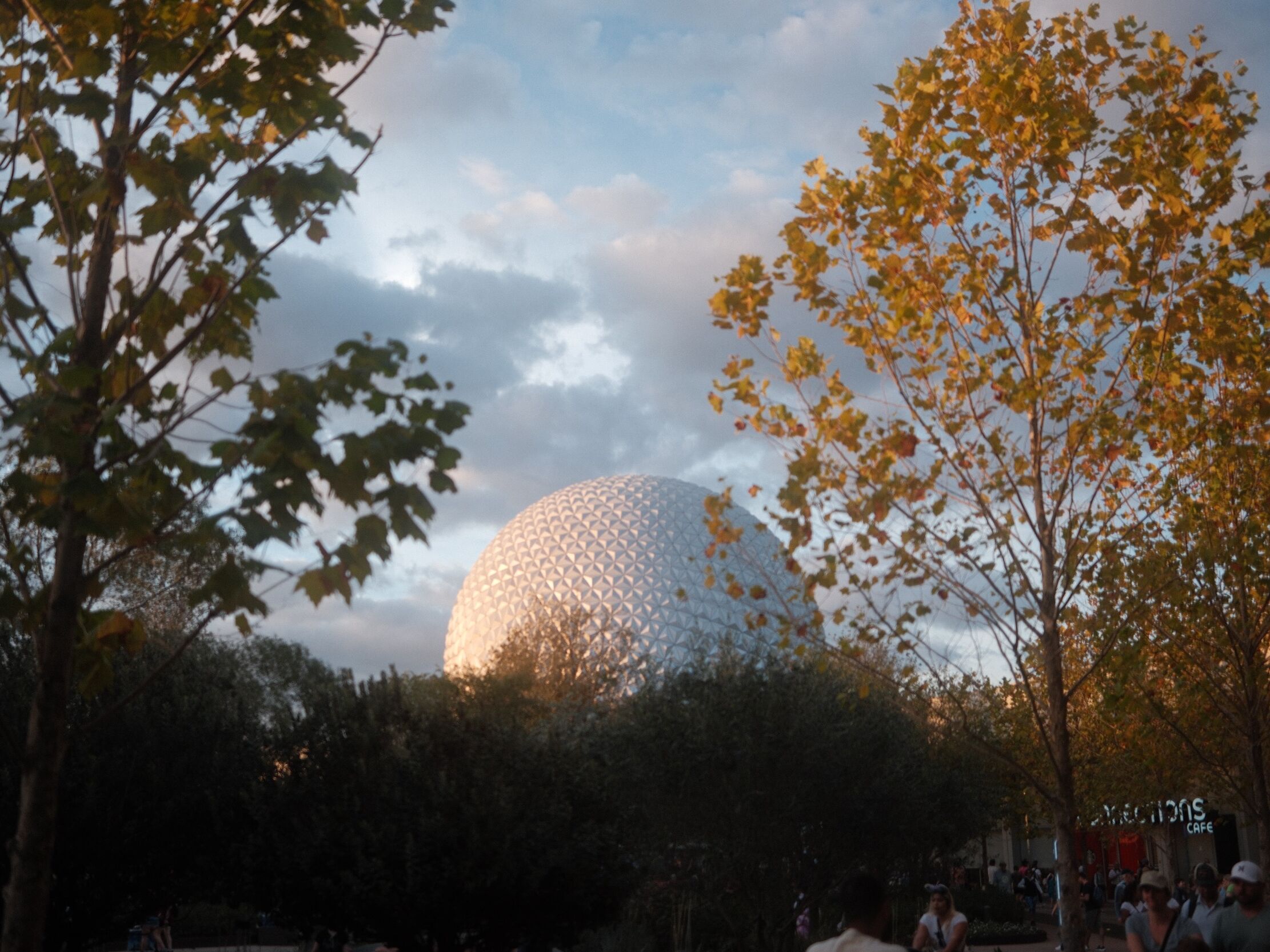 Picture of Walt Disney World