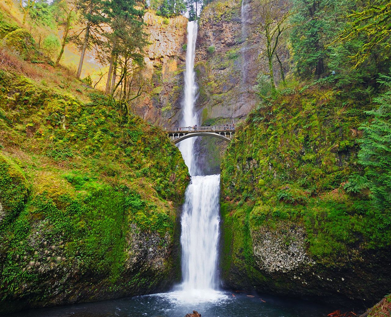 Picture of Multnomah Falls