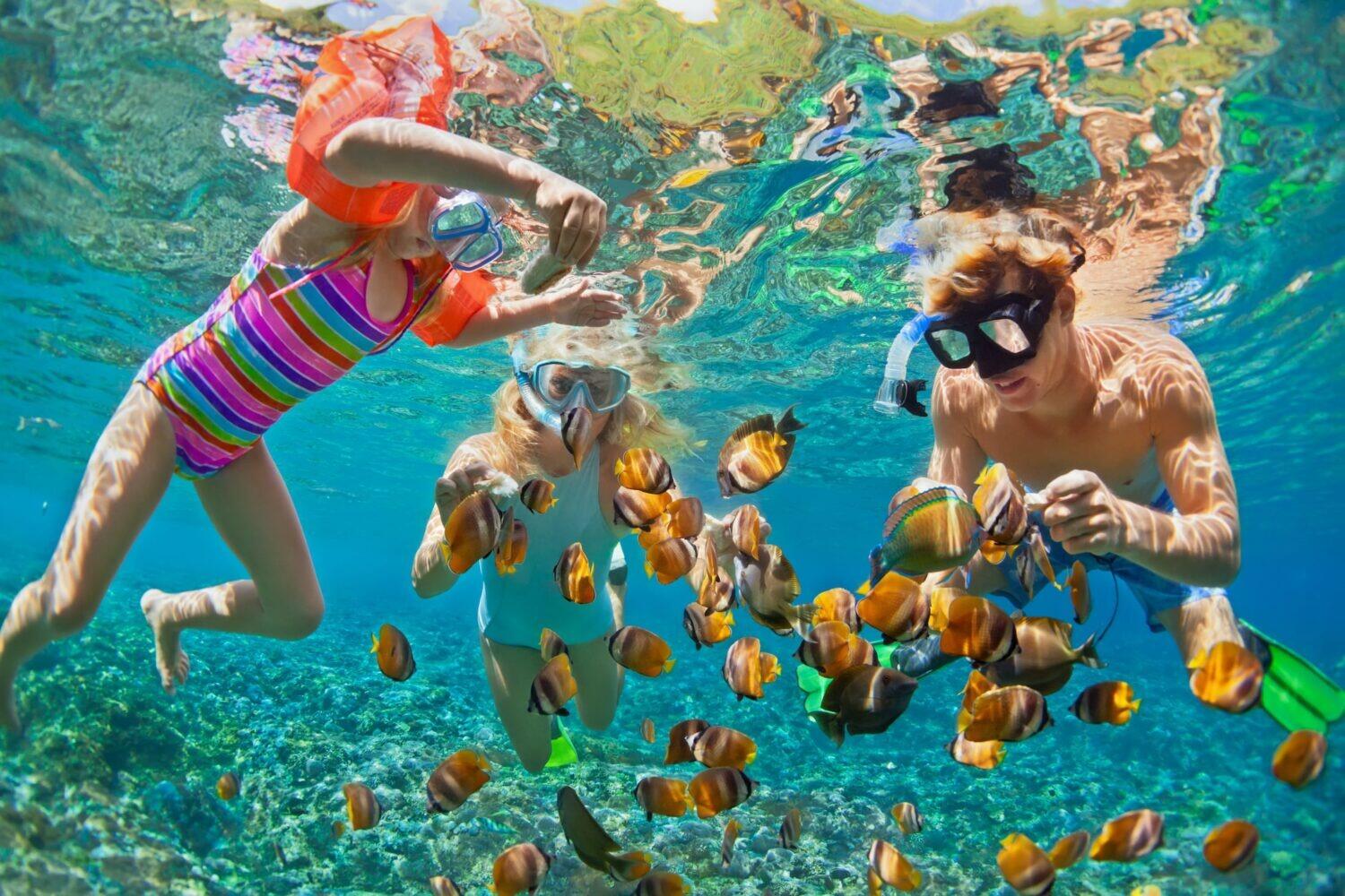 Picture of Oahu Circle Island Snorkel Tour