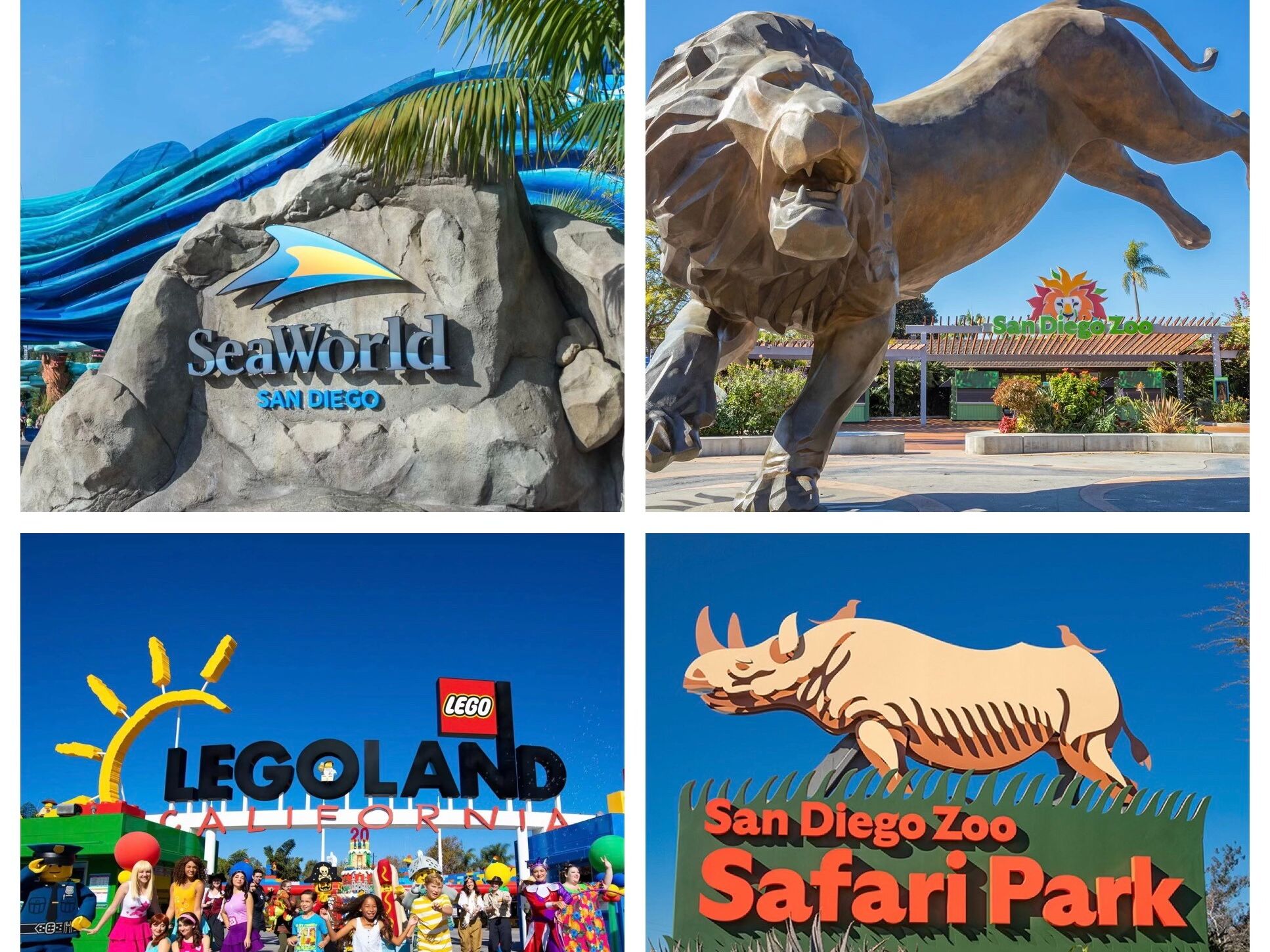 Picture of Amusement Parks and Zoos