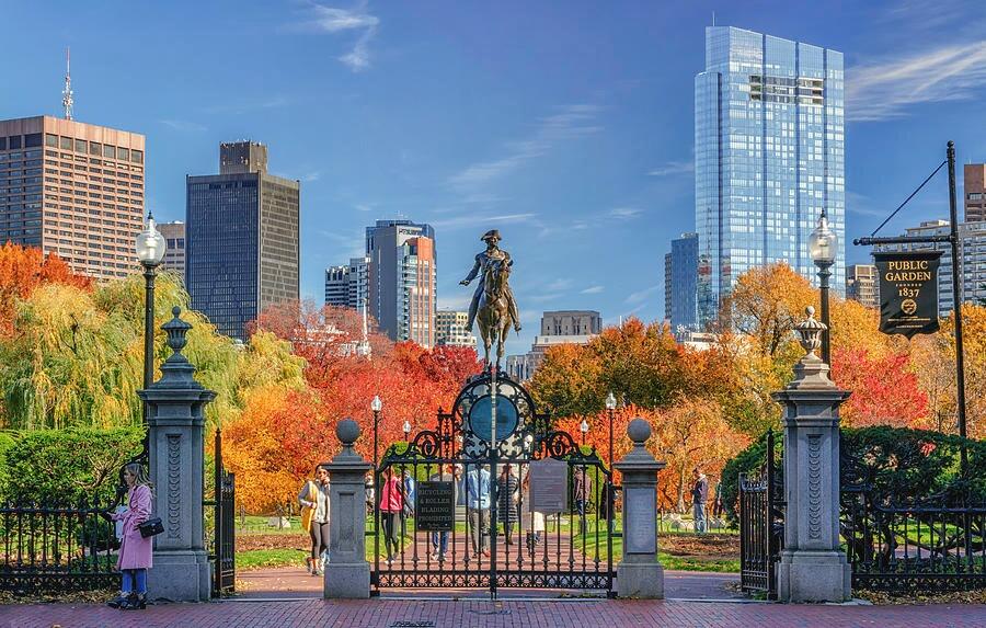 Picture of Public Garden