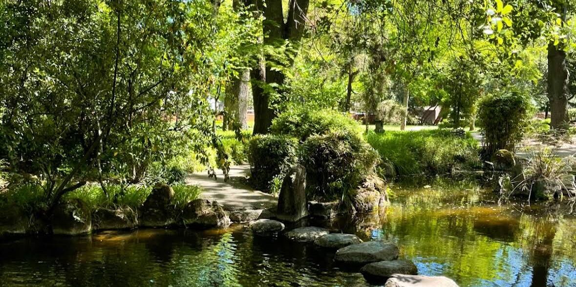 Picture of Japanese Garden In Micke Grove