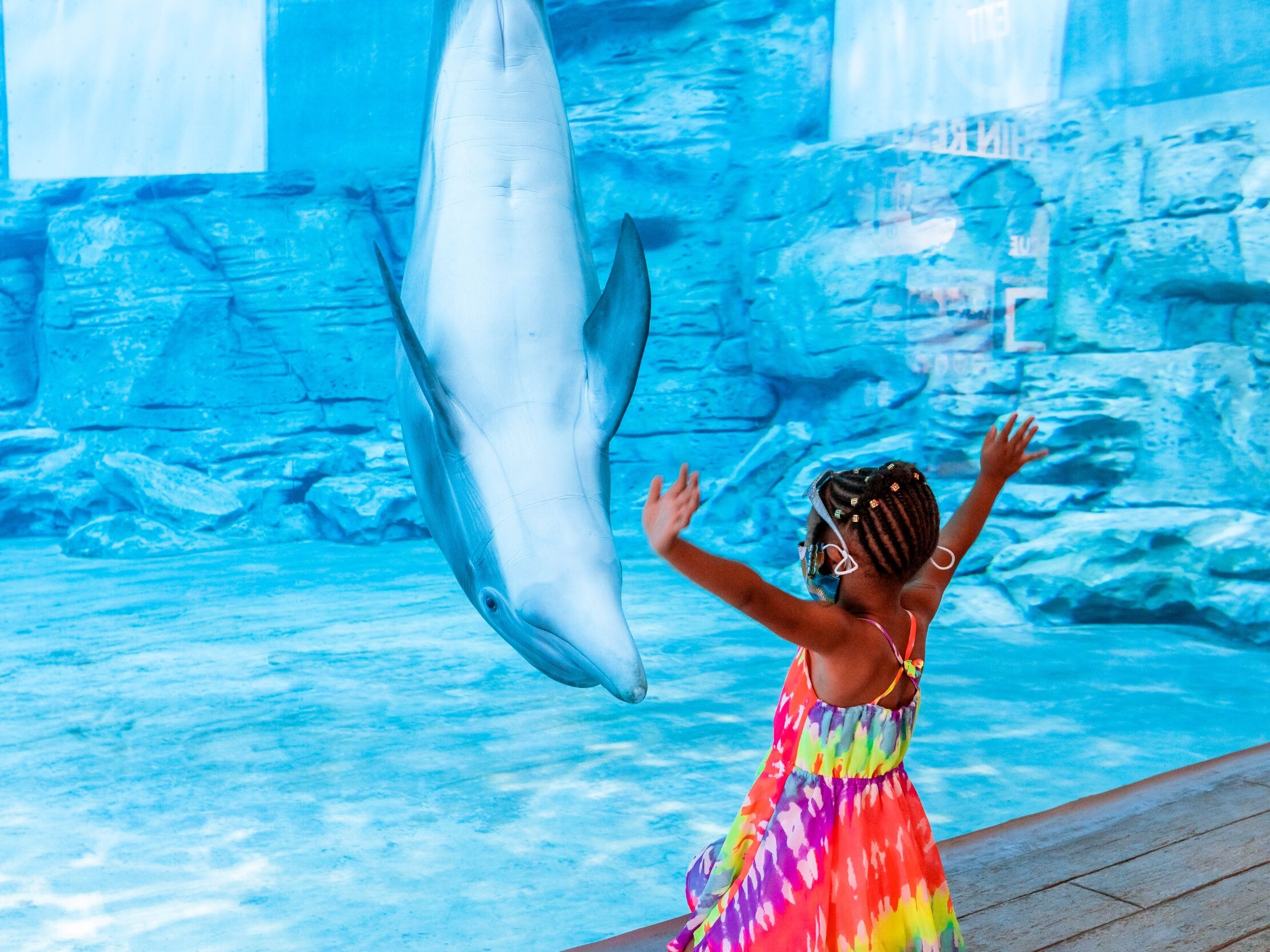 Picture of Clearwater Marine Aquarium
