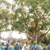 The Lake Around Cypress Grove Estate House in Orlando, Florida, Served as This Wedding's Backdrop