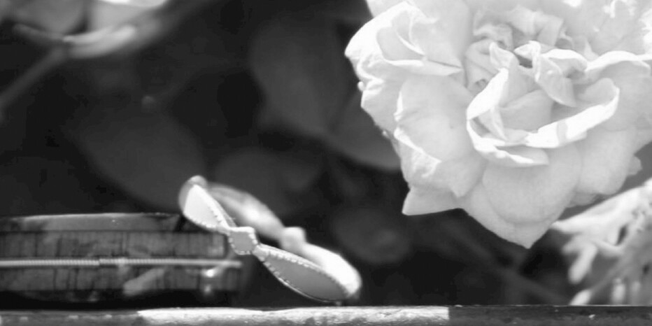 Rylee & Tim Home Page Banner