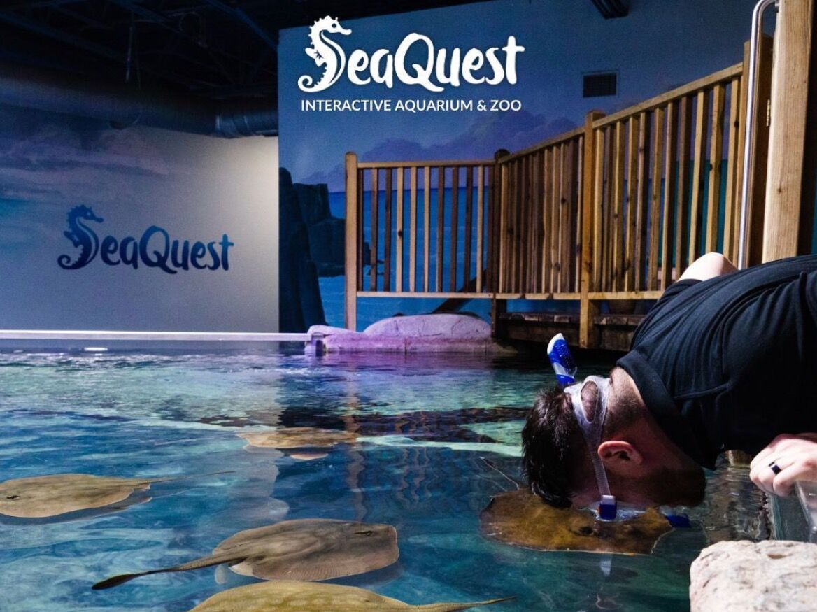 Picture of SeaQuest Lynchburg