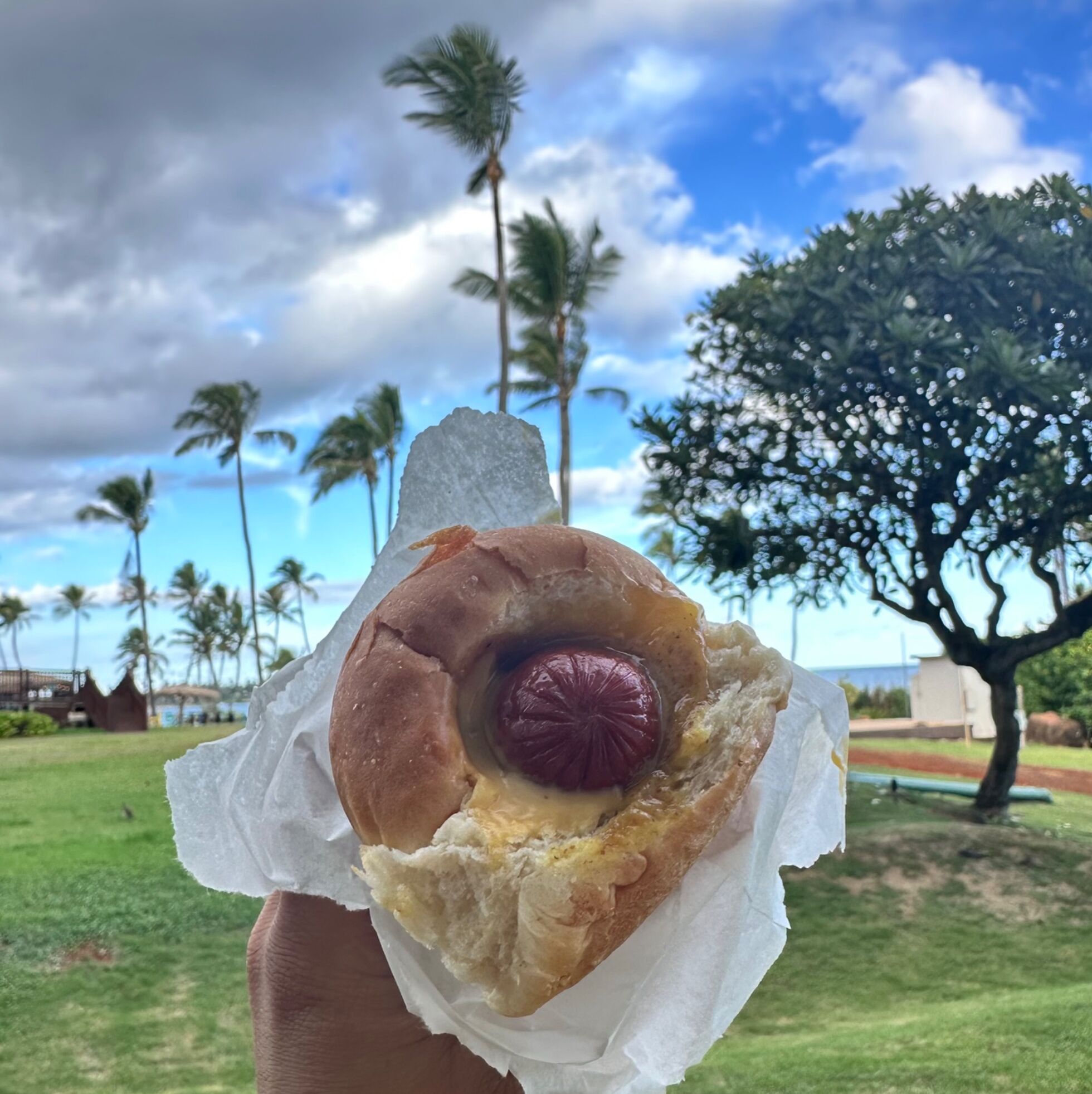 Picture of Puka Dog Hawaiian Style Hot Dogs