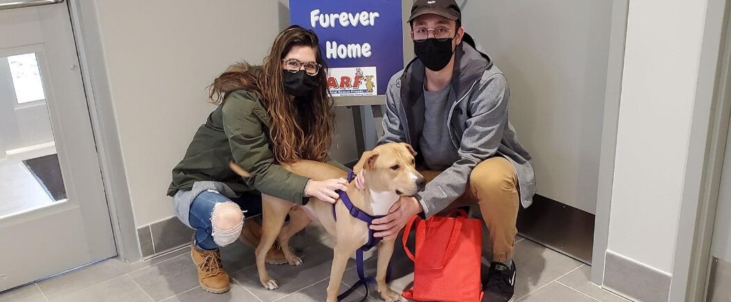 Picture of Adopted Kali: January 2021
