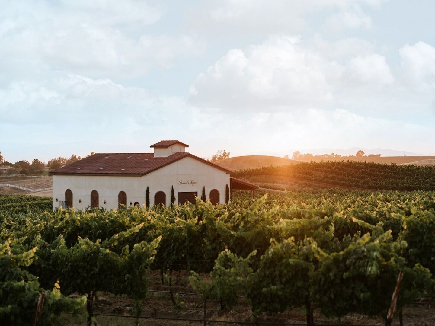 Picture of Danza del Sol Winery