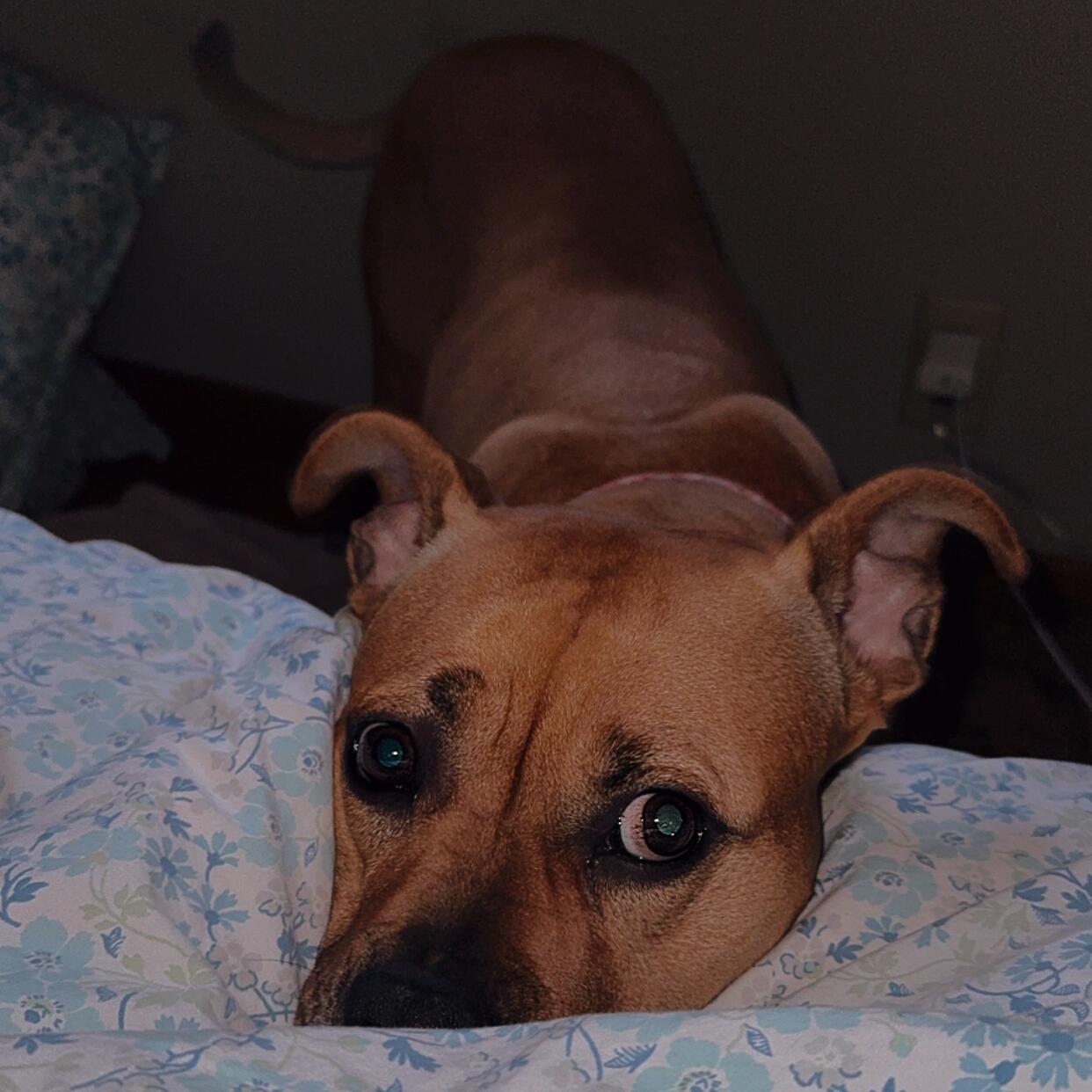Athena