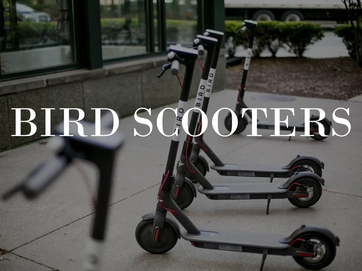 Picture of Bird Scooters