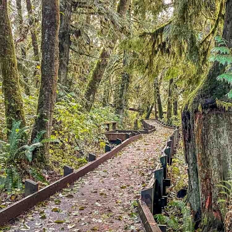 Picture of McLane Creek Nature Trail Pond Loop Trailhead
