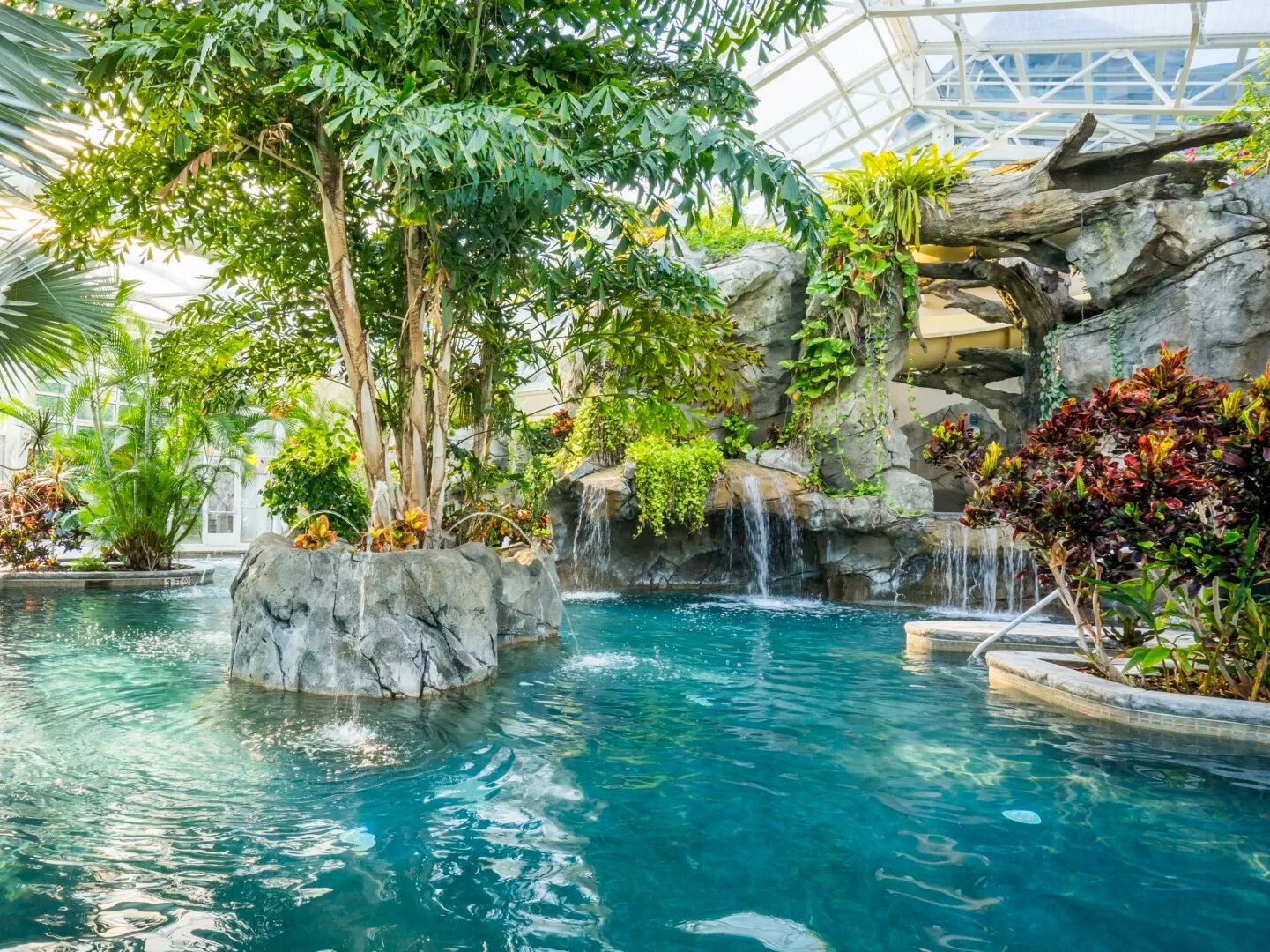 Picture of Biosphere Pool Complex