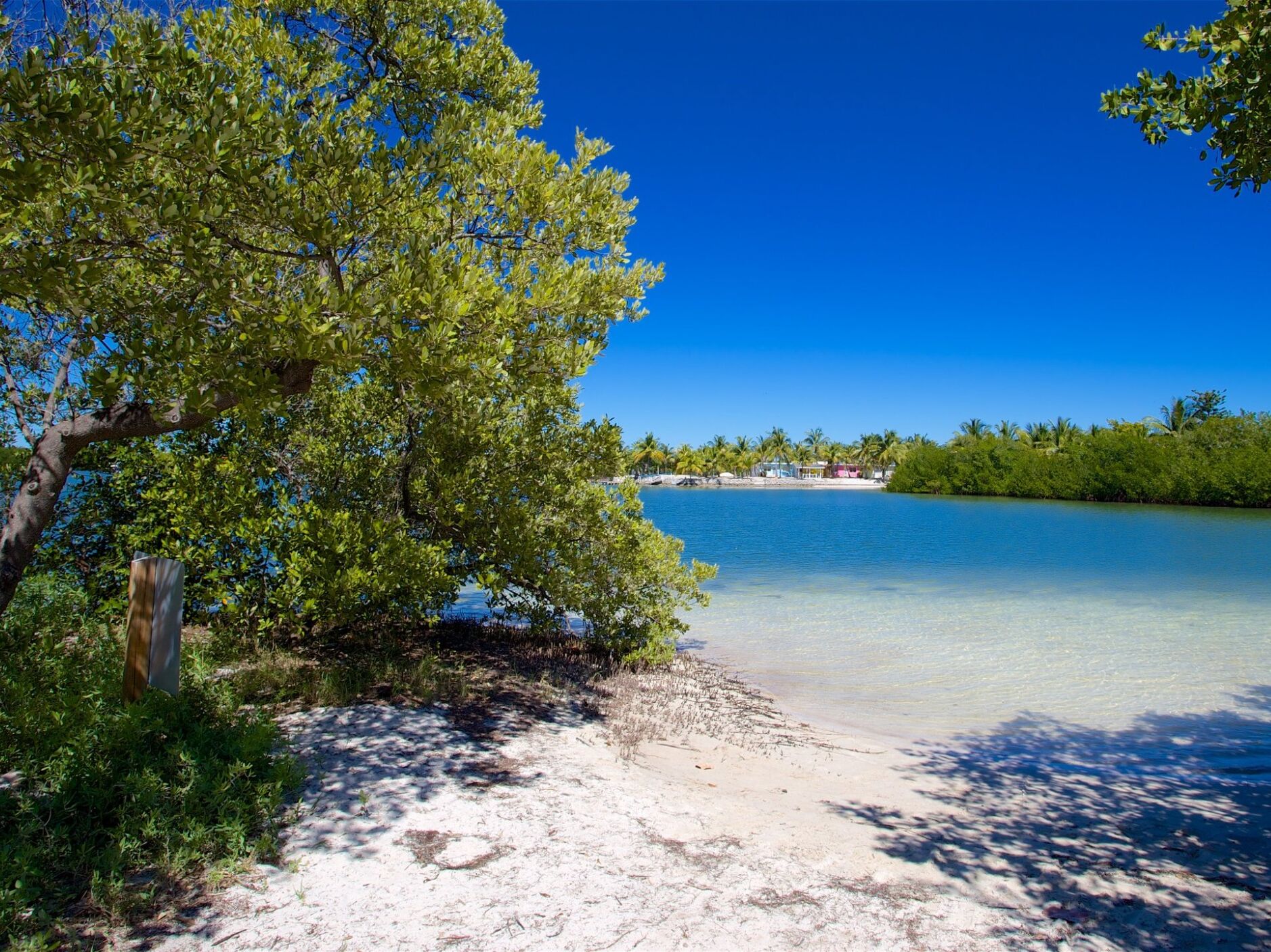 Picture of Curry Hammock State Park