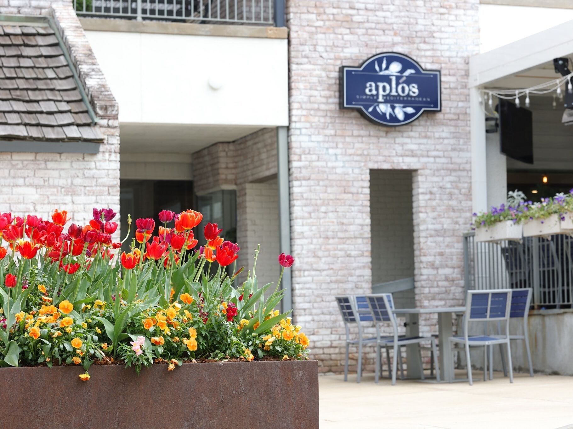 Picture of Aplos Simple Mediterranean