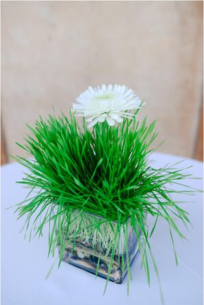 Centerpiece with Grass and White Daisies