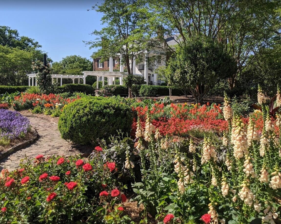 Picture of Boone Hall Plantation & Gardens