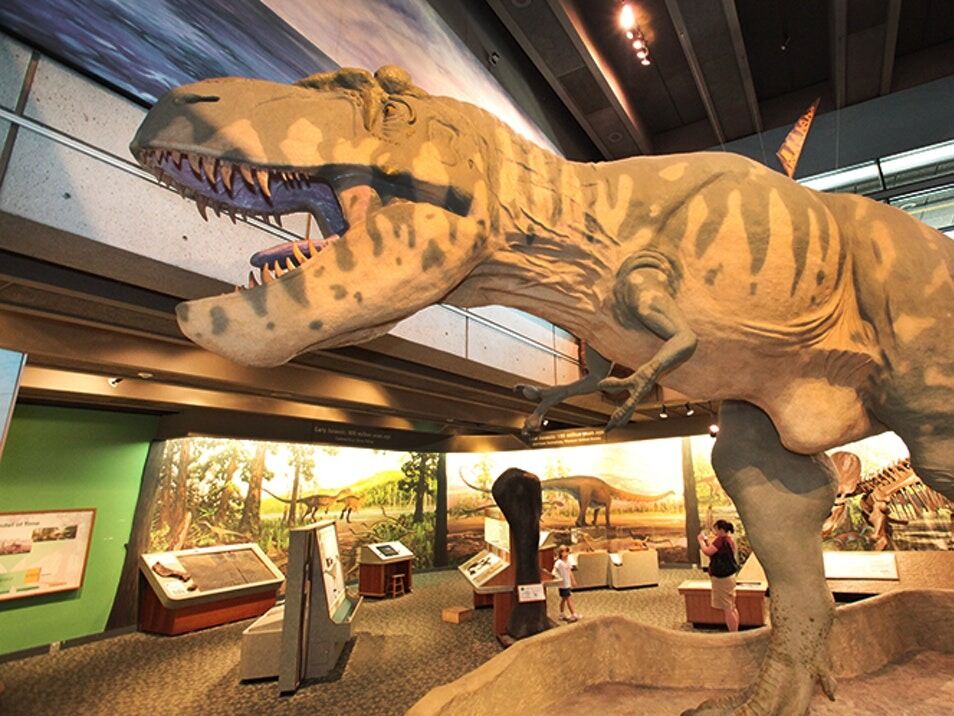 Picture of Museum of Science
