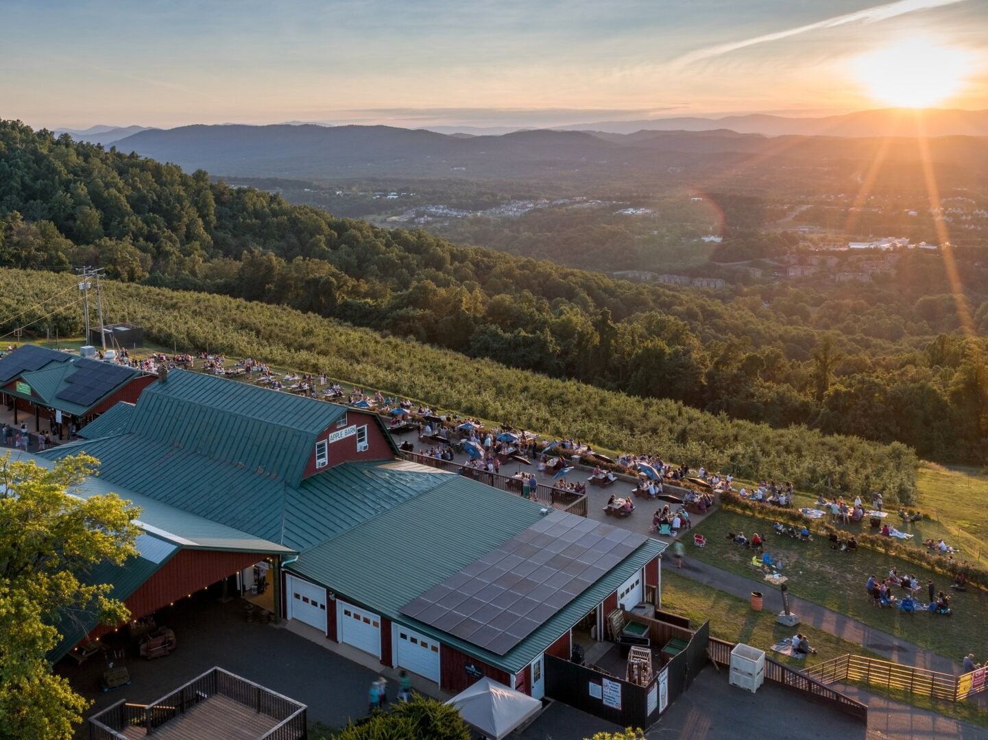 Picture of Carter Mountain Orchard and Country Store