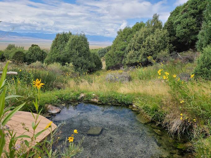 Picture of Valley View Hot Springs