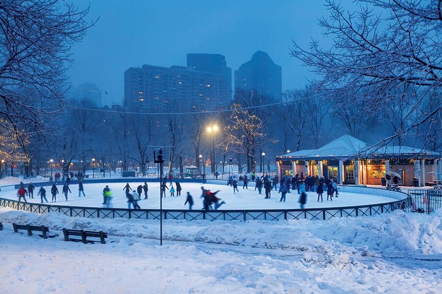 Picture of Ice Skating