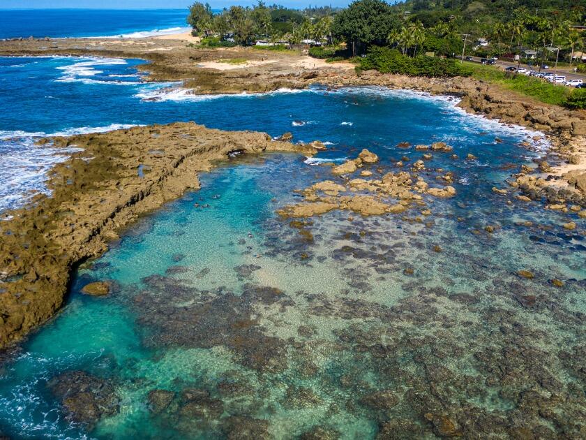 Picture of Pūpūkea Beach Park