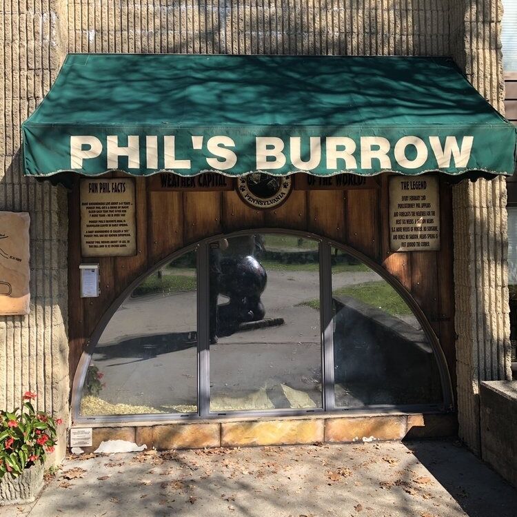 Picture of Phil's Burrow