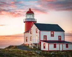 Picture of Ferryland Picnic