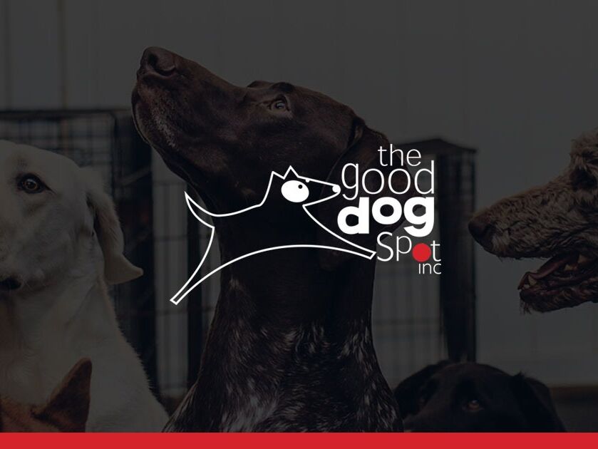 Picture of The Good Dog Spot