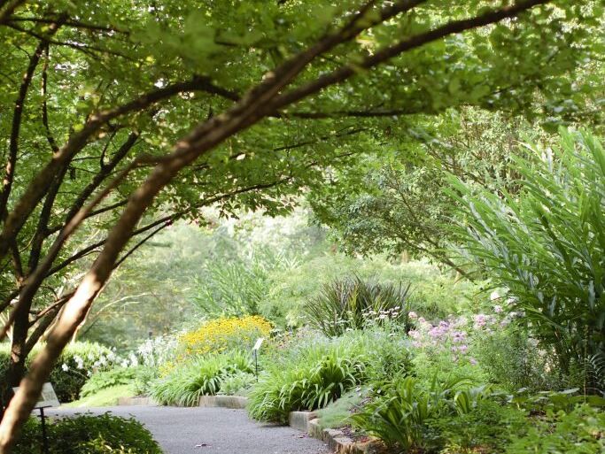 Picture of Birmingham Botanical Gardens